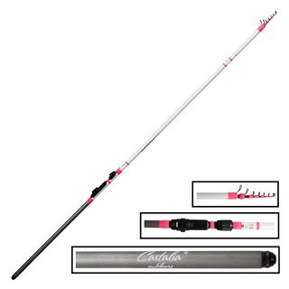 Paladin Trout Competition Short - 2,70m 0-3g - Ultra Light Rute