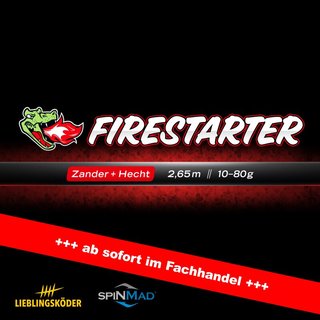 Lieblingskder FIRESTARTER Zander + Hecht 2,65m 10-80g